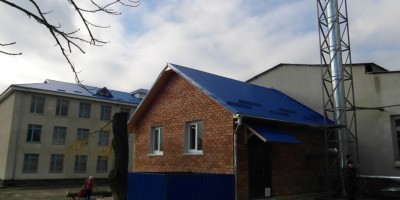 Biomass and Renewable Energy